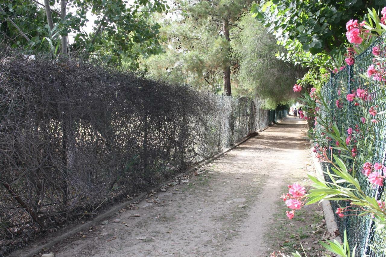 Casa Vacanze Paola 2 Capitana Εξωτερικό φωτογραφία