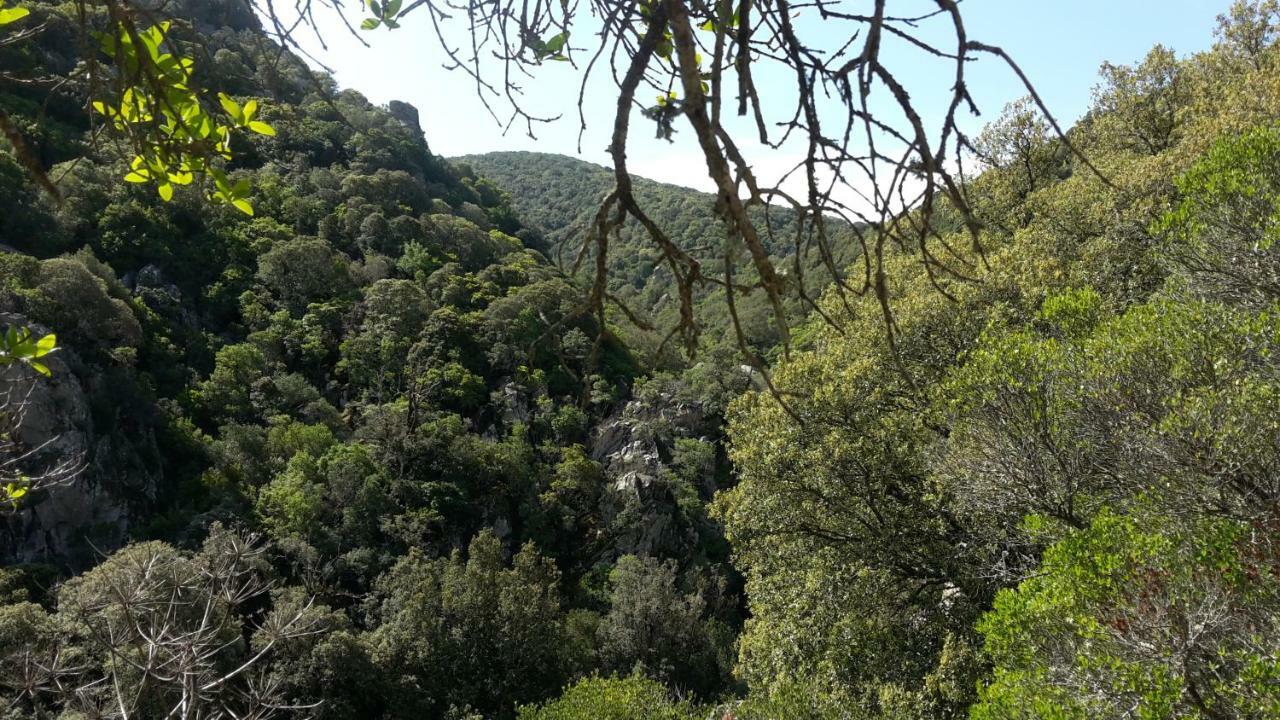 Casa Vacanze Paola 2 Capitana Εξωτερικό φωτογραφία